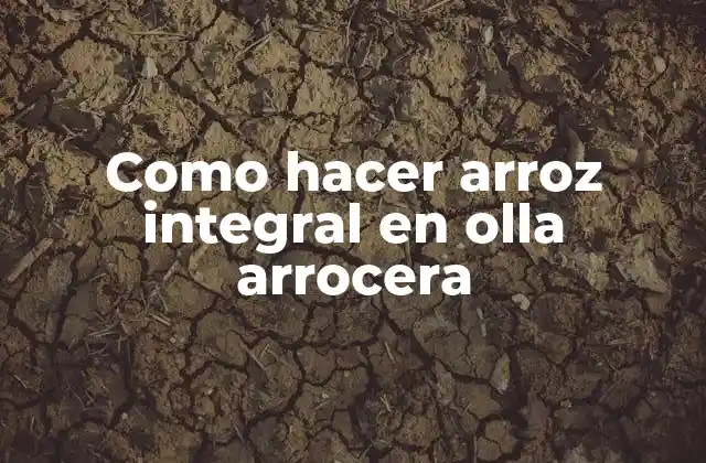 Como Hacer Arroz Integral en Olla Arrocera
