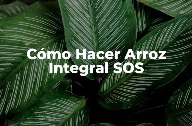 Cómo Hacer Arroz Integral Sos 2 ¿Qué es el Arroz Integral SOS?