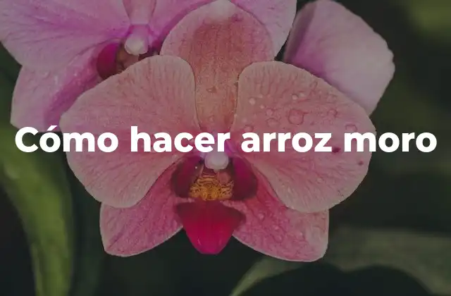 Cómo Hacer Arroz Moro
