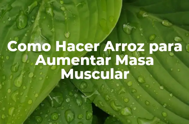 Como Hacer Arroz para Aumentar Masa Muscular