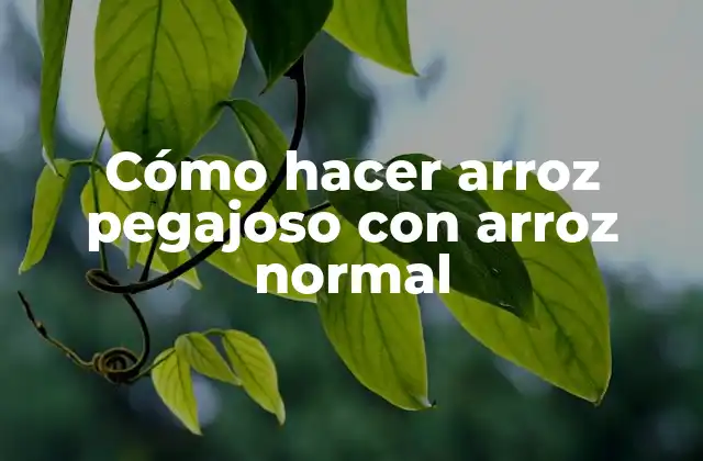 ¿Qué es el arroz pegajoso y para qué sirve?