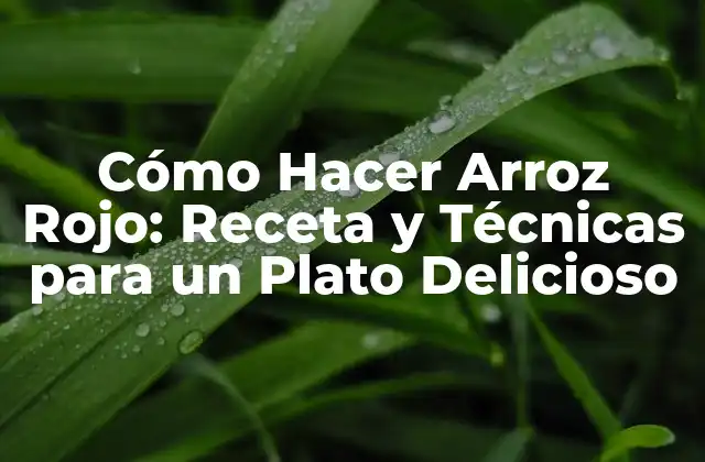 Cómo Hacer Arroz Rojo: Receta y Técnicas para un Plato Delicioso