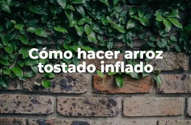 Cómo Hacer Arroz Tostado Inflado 2 ¿Qué es el arroz tostado inflado?
