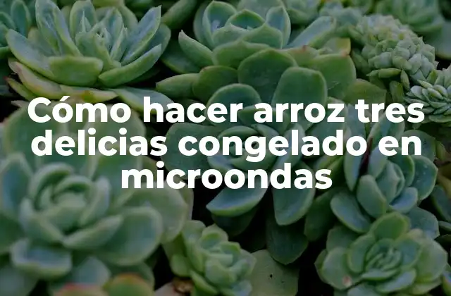 Cómo Hacer Arroz Tres Delicias Congelado en Microondas