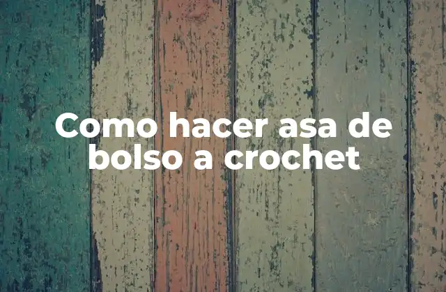 Como Hacer Asa de Bolso a Crochet