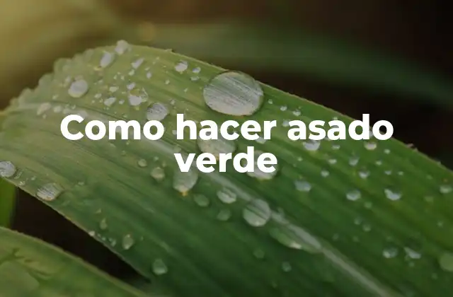 Como Hacer Asado Verde