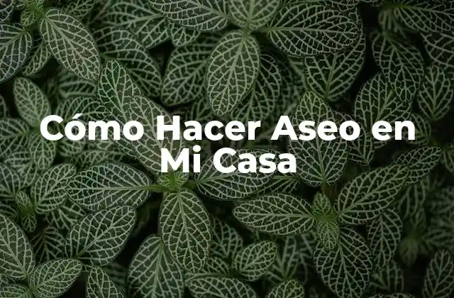 Cómo Hacer Aseo en Mi Casa