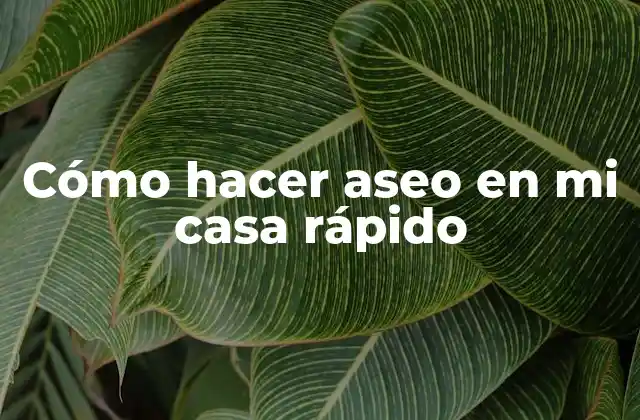 Cómo Hacer Aseo en Mi Casa Rápido