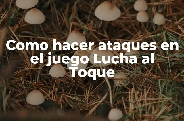 Como Hacer Ataques en el Juego Lucha Al Toque