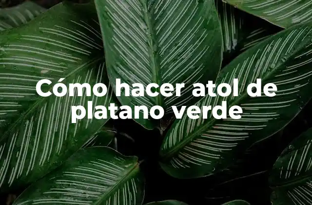 ¿Qué es el atol de platano verde?