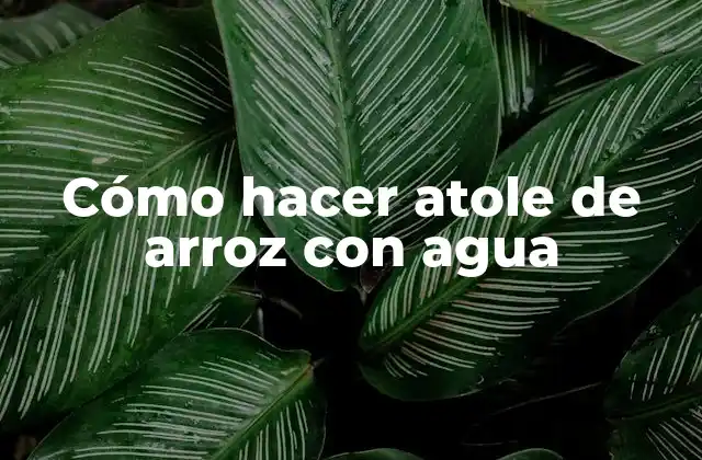 Cómo Hacer Atole de Arroz con Agua