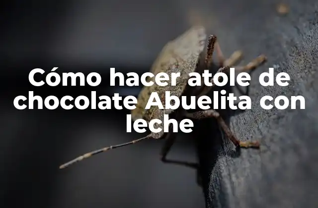 Cómo Hacer Atole de Chocolate Abuelita con Leche