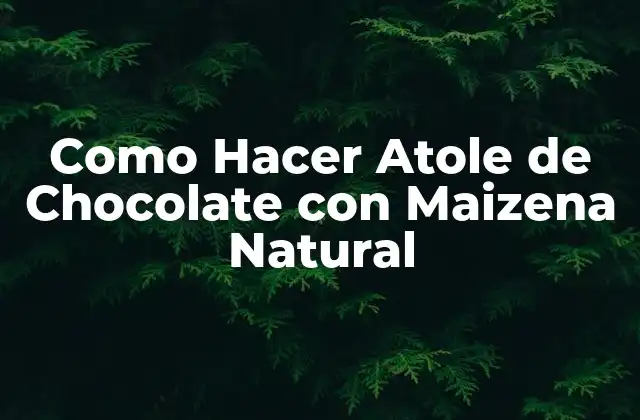 Como Hacer Atole de Chocolate con Maizena Natural