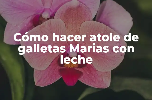 Cómo Hacer Atole de Galletas Marias con Leche