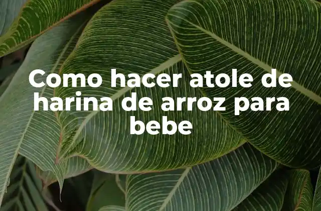 Como Hacer Atole de Harina de Arroz para Bebe