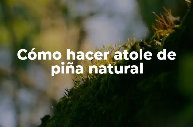 Cómo Hacer Atole de Piña Natural