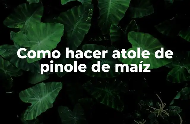 Como Hacer Atole de Pinole de Maíz