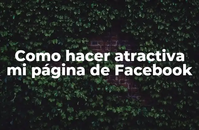 Como Hacer Atractiva Mi Página de Facebook