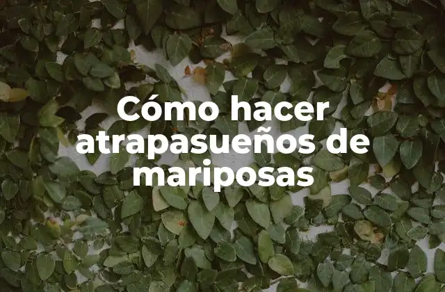 ¿Qué es un atrapasueños de mariposas?