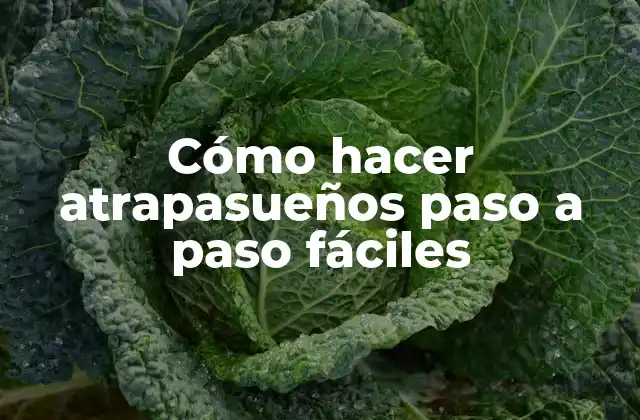 Cómo Hacer Atrapasueños Paso a Paso Fáciles