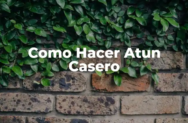 Como Hacer Atun Casero 2 ¿Qué es el Atun Casero?