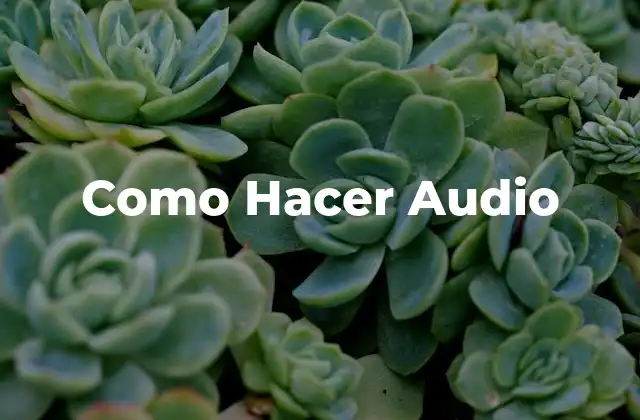 Como Hacer Audio