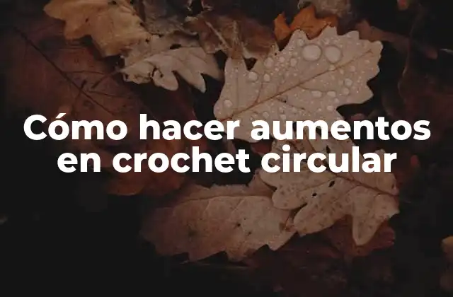 Cómo Hacer Aumentos en Crochet Circular