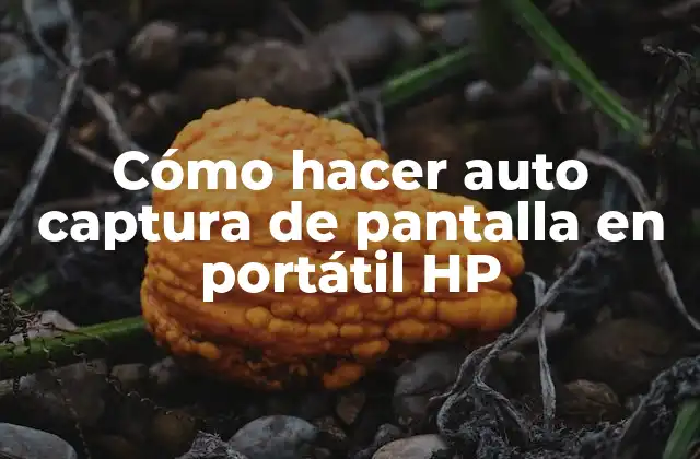 Cómo Hacer Auto Captura de Pantalla en Portátil Hp
