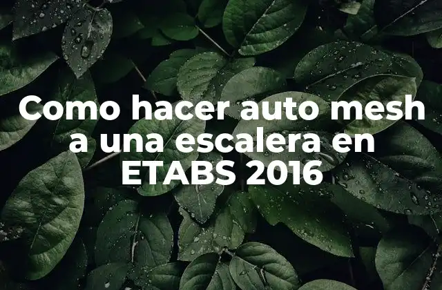 Como Hacer Auto Mesh a una Escalera en Etabs 2016 2 Que es un auto mesh y para que sirve en ETABS 2016