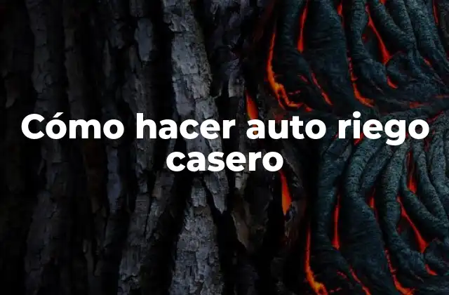 Cómo Hacer Auto Riego Casero 2 ¿Qué es un sistema de auto riego casero?