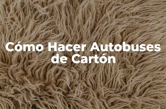 ¿Qué es un Autobús de Cartón y para qué Sirve?