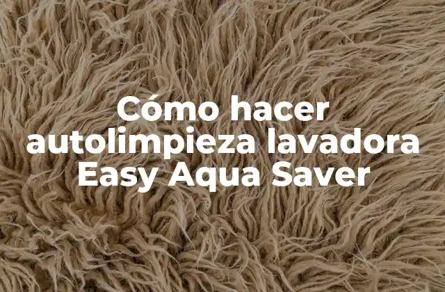 Cómo Hacer Autolimpieza Lavadora Easy Aqua Saver