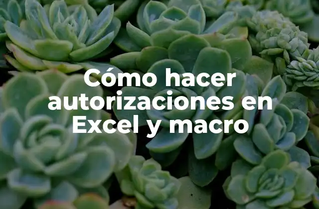 Cómo Hacer Autorizaciones en Excel y Macro