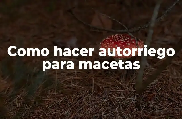 Como Hacer Autorriego para Macetas