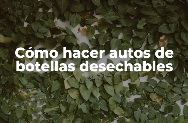 Cómo Hacer Autos de Botellas Desechables