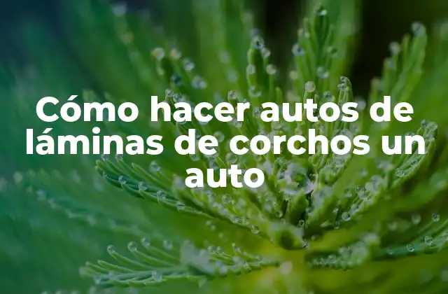 Cómo Hacer Autos de Láminas de Corchos un Auto