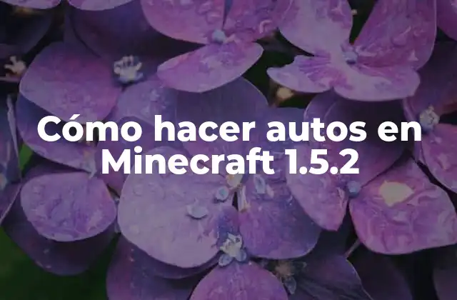 Cómo Hacer Autos en Minecraft 1.5.2