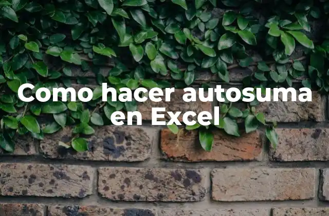 Como Hacer Autosuma en Excel