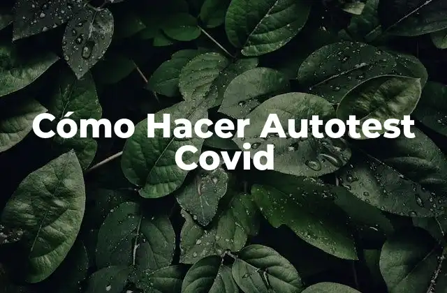 Cómo Hacer Autotest Covid 2 ¿Qué es un Autotest Covid y para Qué Sirve?