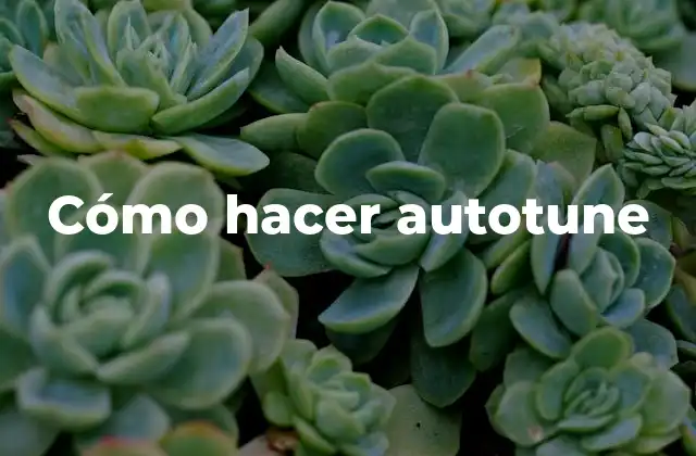 Cómo Hacer Autotune