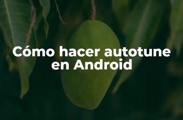 Cómo Hacer Autotune en Android