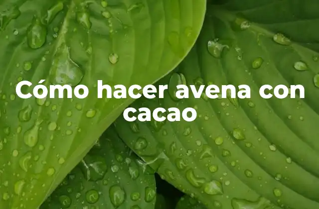 Avena con cacao, un desayuno saludable y delicioso