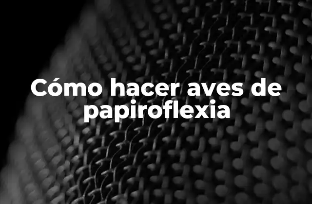 Cómo Hacer Aves de Papiroflexia
