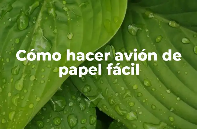 Cómo hacer avión de papel fácil