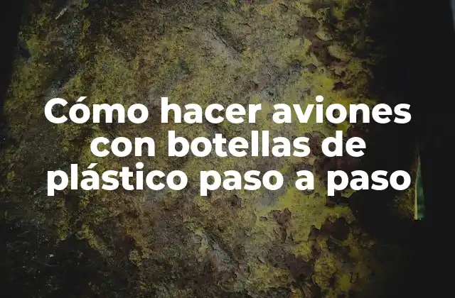 Cómo Hacer Aviones con Botellas de Plástico Paso a Paso