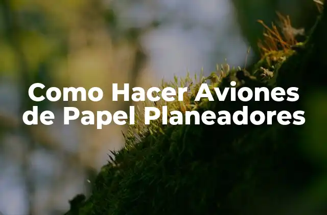 Como Hacer Aviones de Papel Planeadores