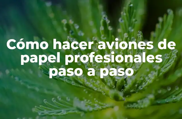 Cómo Hacer Aviones de Papel Profesionales Paso a Paso