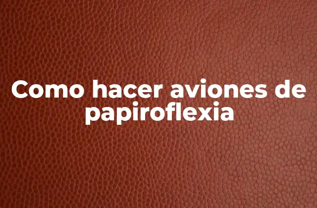 Como Hacer Aviones de Papiroflexia