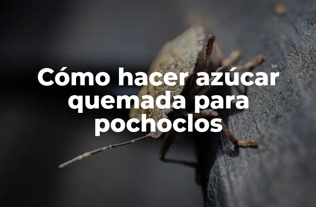 Cómo Hacer Azúcar Quemada para Pochoclos