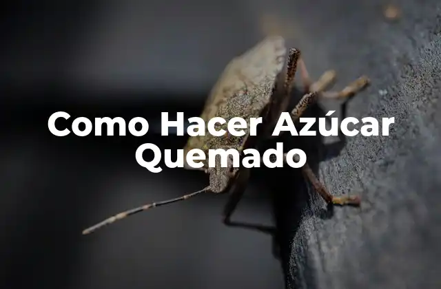 ¿Qué es el Azúcar Quemado y Para Qué Sirve?